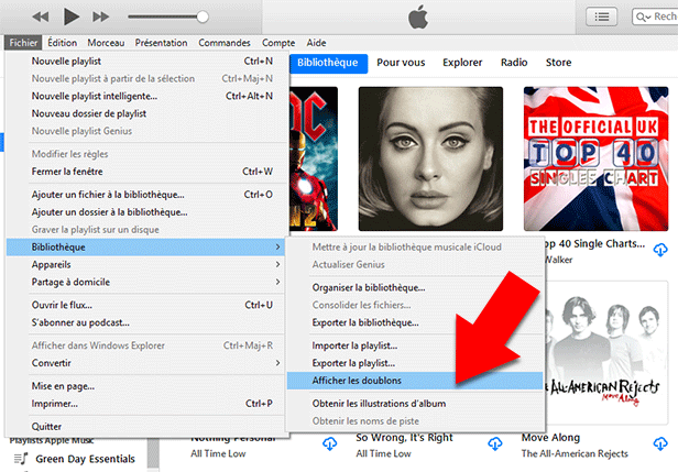 iTunes duplicate music finder