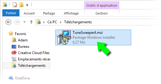 Tune Sweeper installer download to your PC