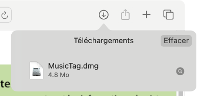 Launch the Music Tag installer from your browser