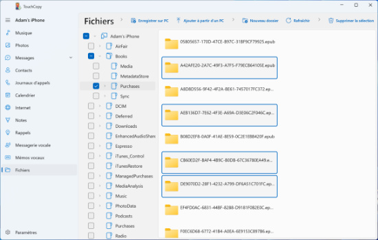 Comment copier iBooks sur un PC